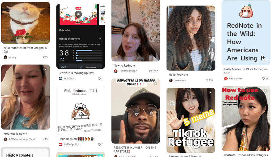 Social Media Content Creation