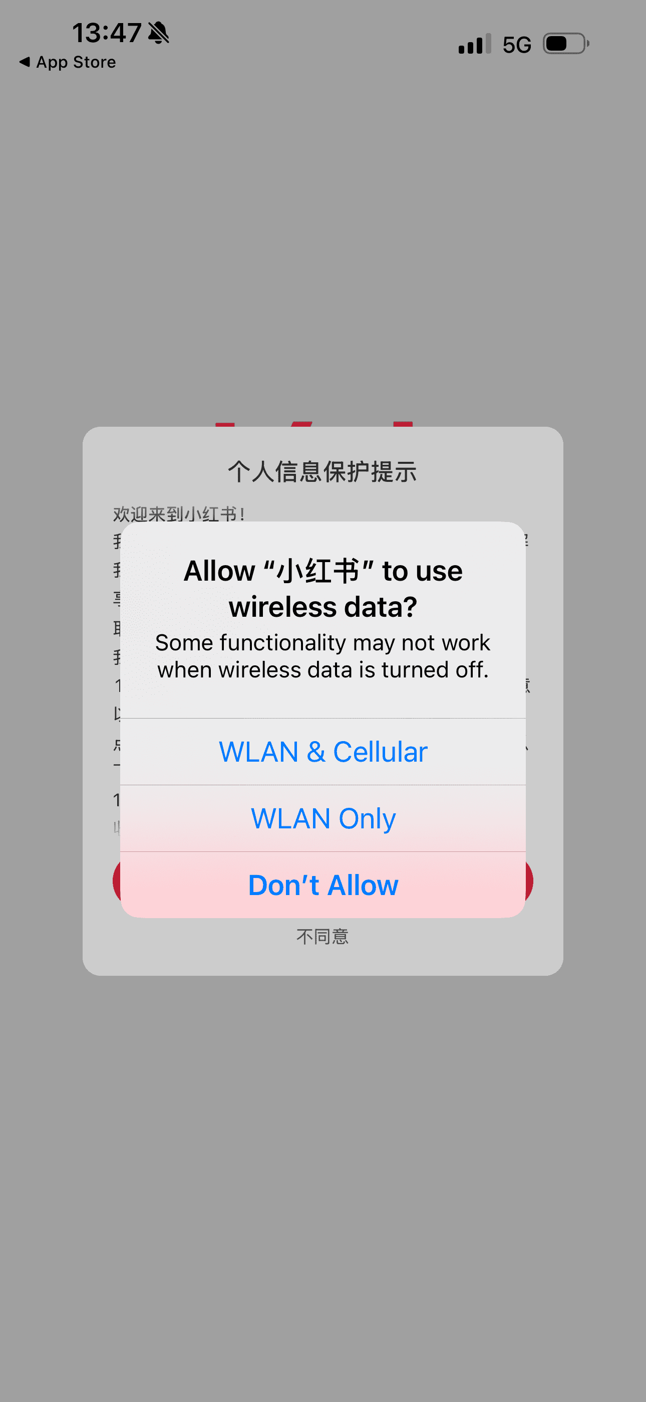 Allow Use WLAN and Cellular Data